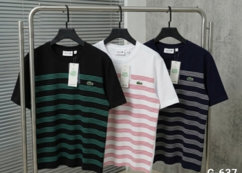 Branded Stripe Printed Cotton Round neck T-Shirts